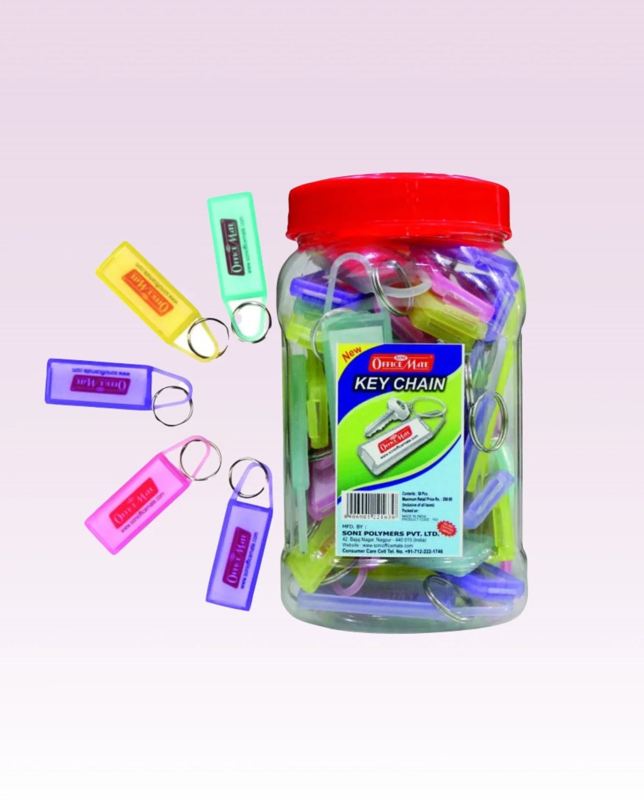 Keychain Jar (50pcs), Organized Key Storage with Labels