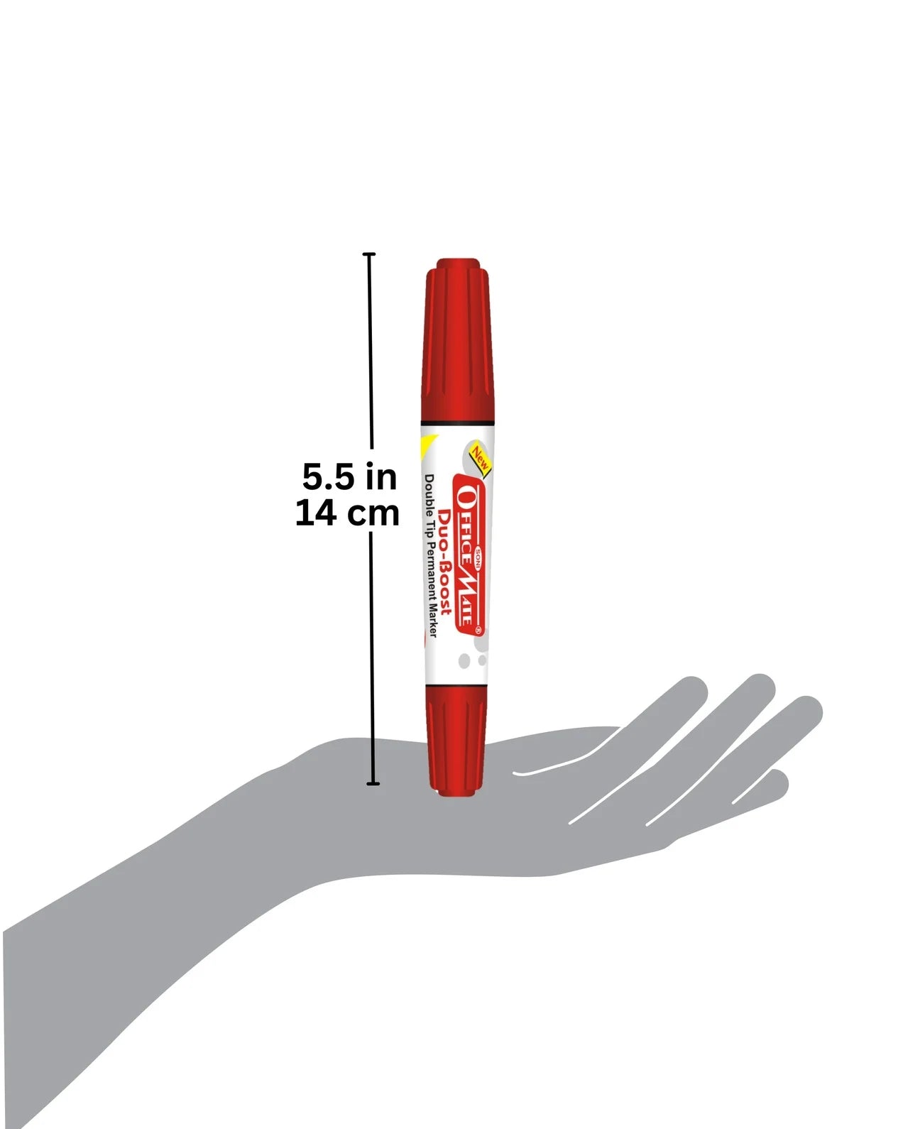 Permanent Marker Double Tip (Bullet + Chisel Tip) – Pack of 10, Quick-Drying, Multi-Surface Marker