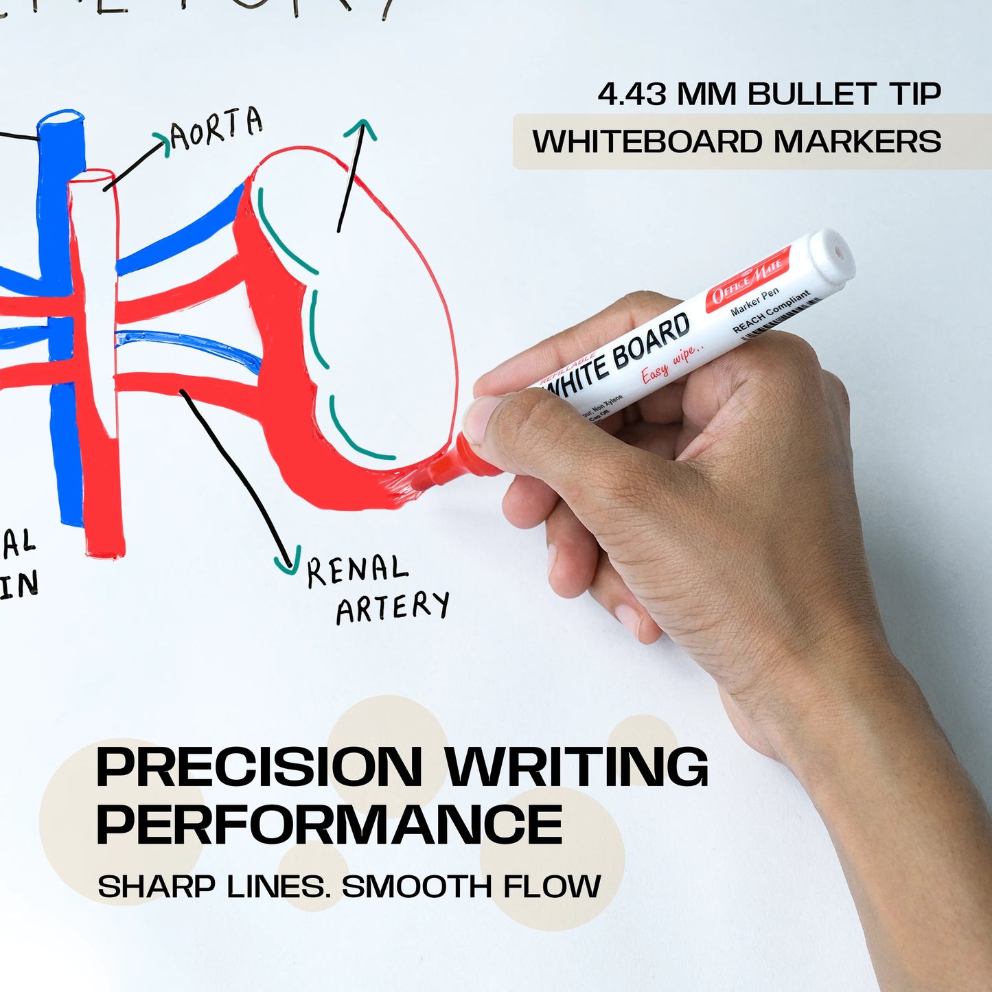 Ultimate Whiteboard Kit, Refillable, Smooth Writing, Easy Erase